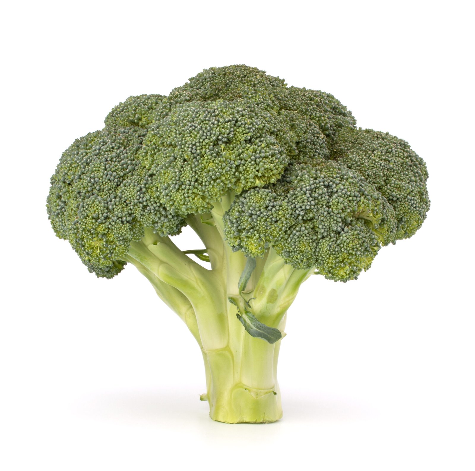Brocoli