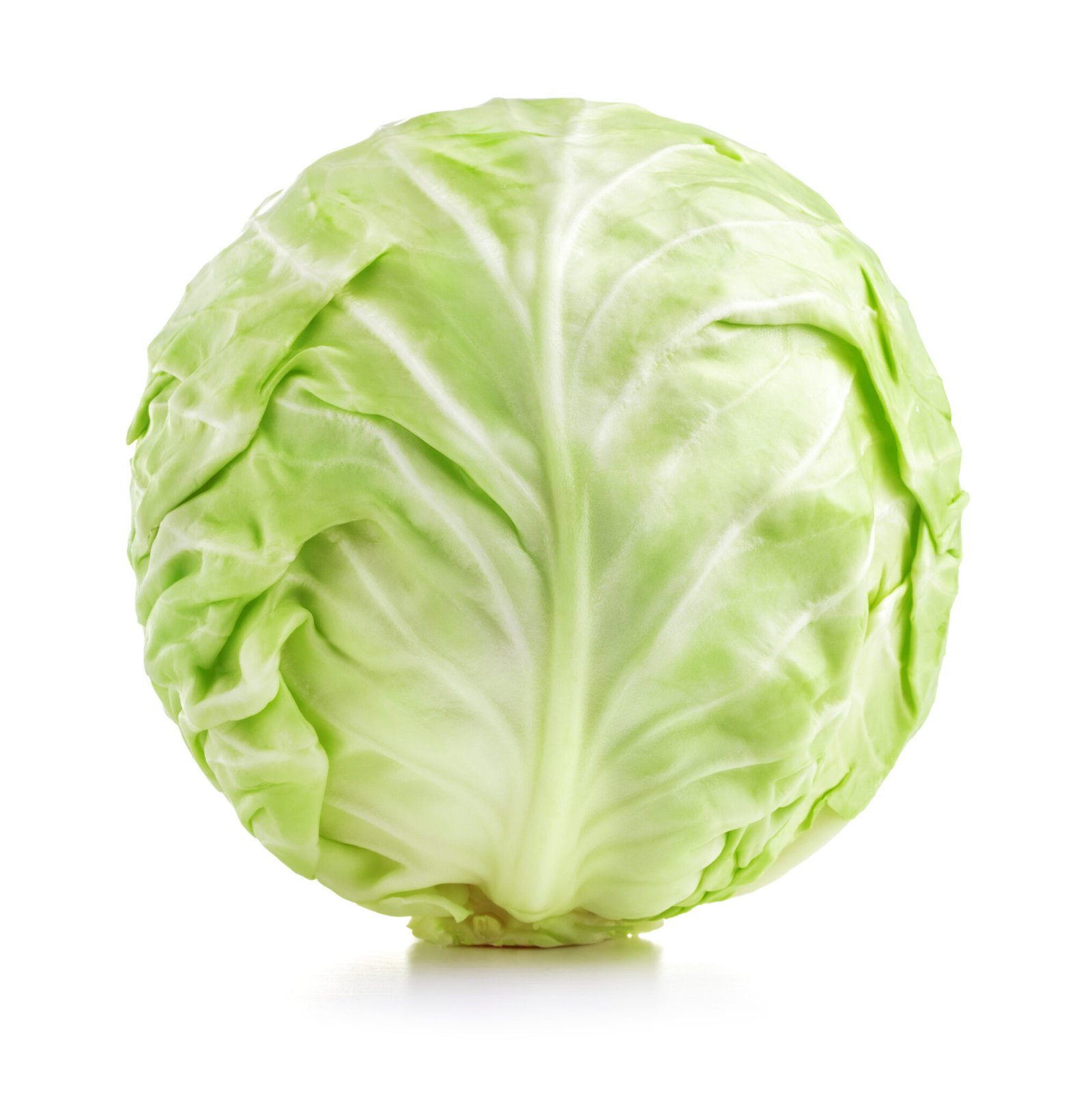 Cabbage Green