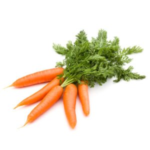 Carrot