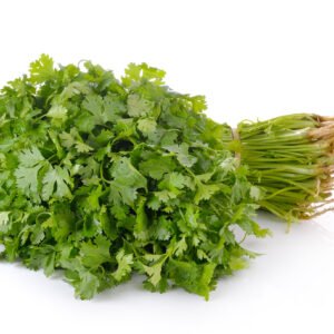 Coriander